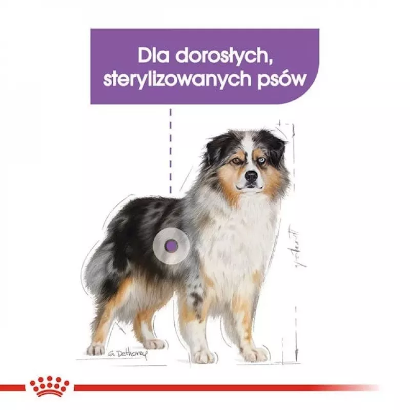 Dry dog food Royal Canin Medium Sterilised Adult 12 kg — for sterilised medium-breed adult dogs, Poultry, Protein 28%, Fat 13%