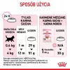 Dry cat food Royal Canin Kitten 10 kg — chicken, 36% protein, 18% fat, for kittens and pregnant/lactating queens