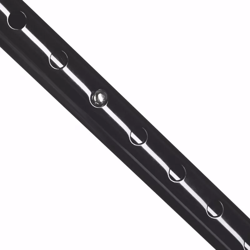 ACTIONMED LI200AM adjustable walking cane, black