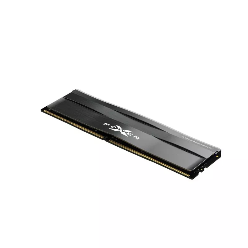 Silicon Power SP008GXLZU320BSC Memory Module
