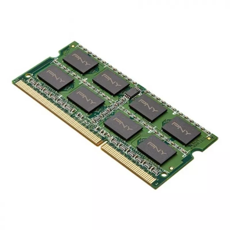 Memory Module PNY DDR3 8GB 1600MHz 1 x 8GB