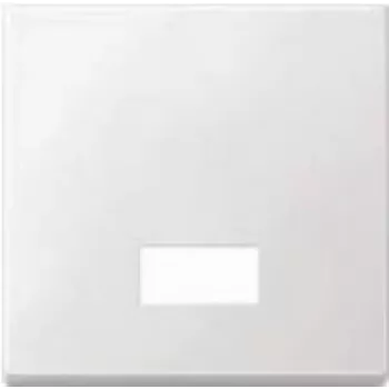 Merten 434819 Light Switch thermoset plastic (434819)