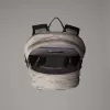 Urban Backpack The North Face Borealis Classic - stone slab/tnf black