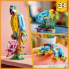 LEGO building set Exotic Parrot 31136 — Creator display model, 253 pieces, 220×120×110 mm