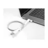 DeLOCK Dust Cover for USB Type-A male and USB Type-C male set 2 pieces white