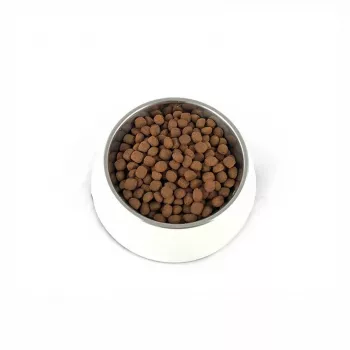 PUPIL Premium Light&Senior Medium and large breeds Rich in turkey and rice - dry dog food - 12kg