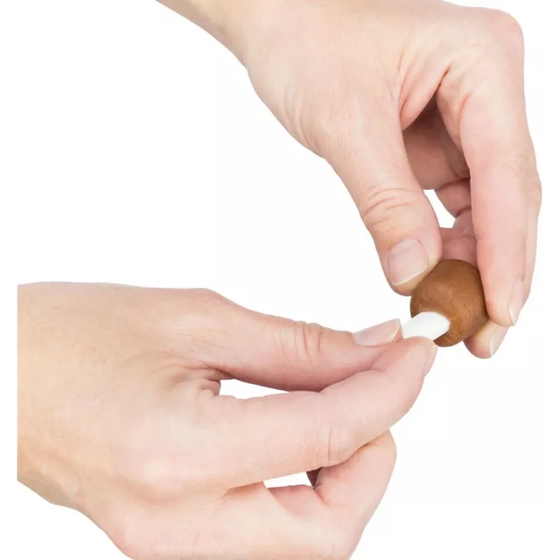 TRIXIE 25841 - Dog treat - 100 g