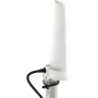 Omni-directional 4 dBi 5G/LTE Antenna Poynting A-OMNI-0280-02-V1 SMA (male) 2 m cable, mast/wall mount, white