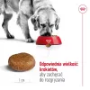 Royal Canin Maxi Adult 5+ Dry Dog Food 15 kg