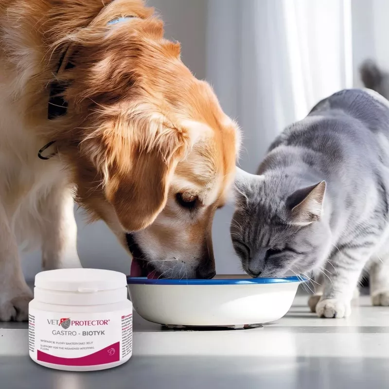 Dietary supplement JM Sante Multibiotic Vet Protector Gastro for dogs and cats, 60 g — probiotic support for adult pets