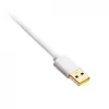 Coiled USB cable Ducky White Edition DACOC2-WHT1, detachable, white coiled design