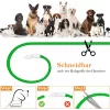 LED collar Anicoll Green for dogs and cats Model rechargeable lighting