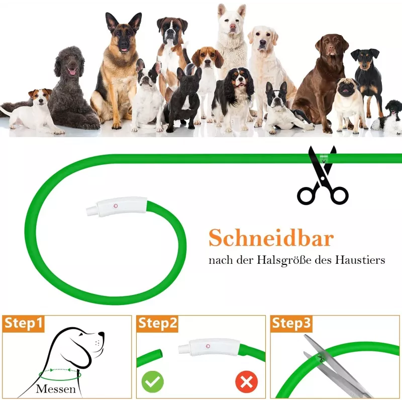 LED collar Anicoll Green for dogs and cats Model rechargeable lighting