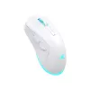 Mouse Baracuda BGM-122 Turtle White TURTLE-W
