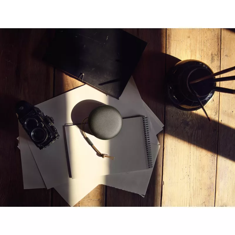 Bang & Olufsen 1734002 Portable Waterproof Bluetooth