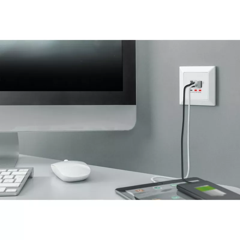 DIGITUS DA-70618 - USB-output - USB, USB Type C - 2 USB-Ports, 1 USB-C socket - 3.1 A - RAL 9003, Signal White