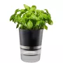 GEFU BOTANICO Herb pot Freestanding Plastic, Stainless steel Black
