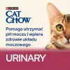 Purina Cat Chow Special Care Urinary Tract Health- cats dry food 15 kg Adult Chicken