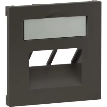 Cover plate Legrand SEANO for 2x RJ45 data sockets, anthracite (765459)
