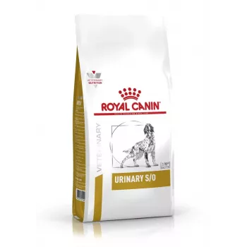 Dry dog food Royal Canin Urinary S/O 2 kg — adult, poultry, urinary tract control
