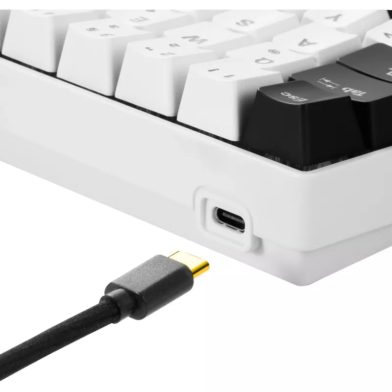 Sharkoon SKILLER SGK50 S4 - Keyboard - Backlighting