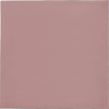 Thermal Grizzly Minus Pad 8 - 100 x 100 x 1.0 mm, 2 pieces
