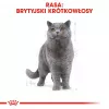 Royal Canin British Shorthair Adult cats dry food 4 kg