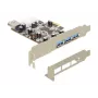 Interface Card DeLOCK 89281 USB 3.2 Gen 1