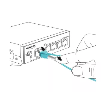 Fibre Optic Cable DeLOCK 1m 2xLC