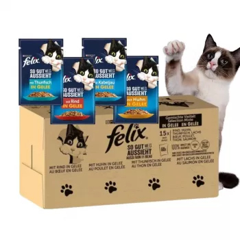 Wet cat food Purina Felix high protein 100 g sachet — fish & chicken flavour, adult cats, pack of 120