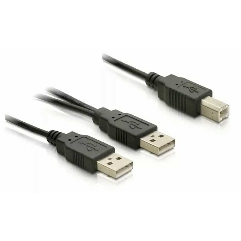 USB Cable DeLOCK USB-B/USB-A Cable 1 m Black