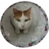 Cat tunnel ZOLUX CHATOUILLE 100 cm with cats and mice pattern — pet toy