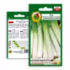 Seeds Seklos LT Leek Starozagorski Kamień — vegetable seeds, packet 1 g