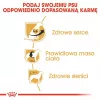 Dry Dog Food Royal Canin Cavalier King Charles Adult 1.5 kg — Chicken, Small Breed, Skin & Coat, Cardiac Support