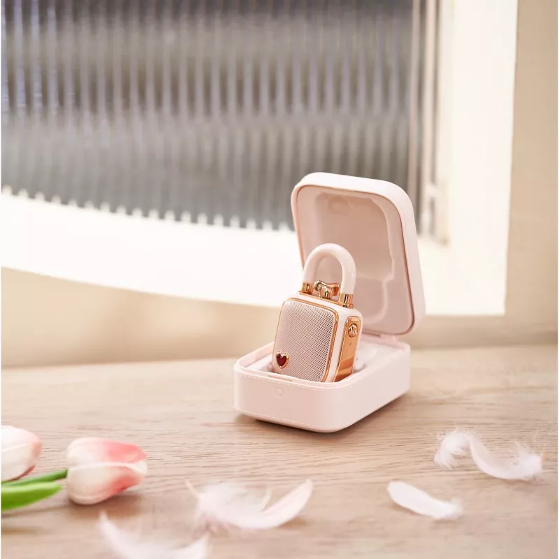 Mono Portable Speaker Divoom LoveLock Pink