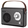 Portable Radio Savio RS-01 Analog Black