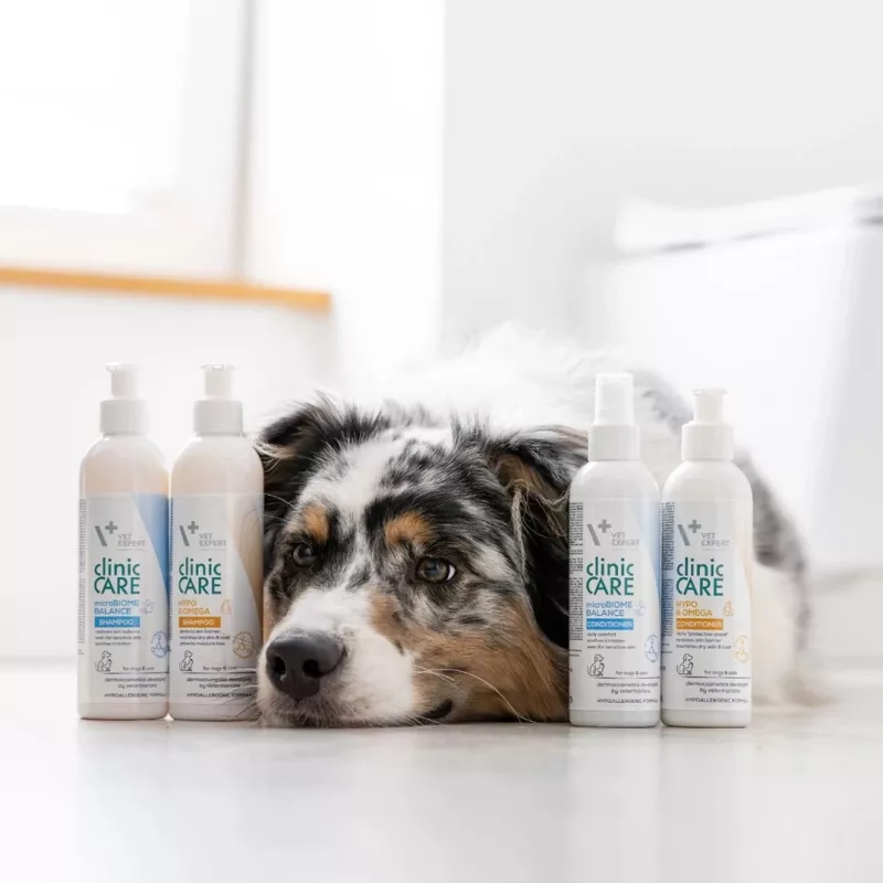 Shampoo VETEXPERT Clinic Care Balance 250 ml — balanced skin care for dogs and cats