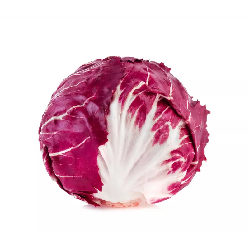 Lettuce Chicory Palla Rossa 3 Toraf Vegetable Seeds, 5g Package