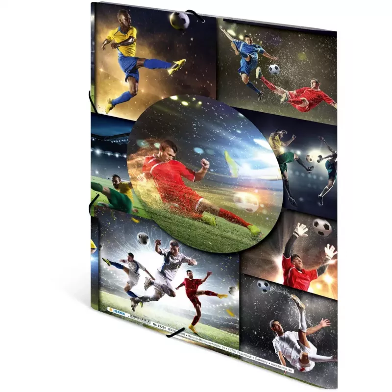 Ring binder A4 HERMA 19298