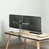 Dual monitor mount 17-32 10kg per arm