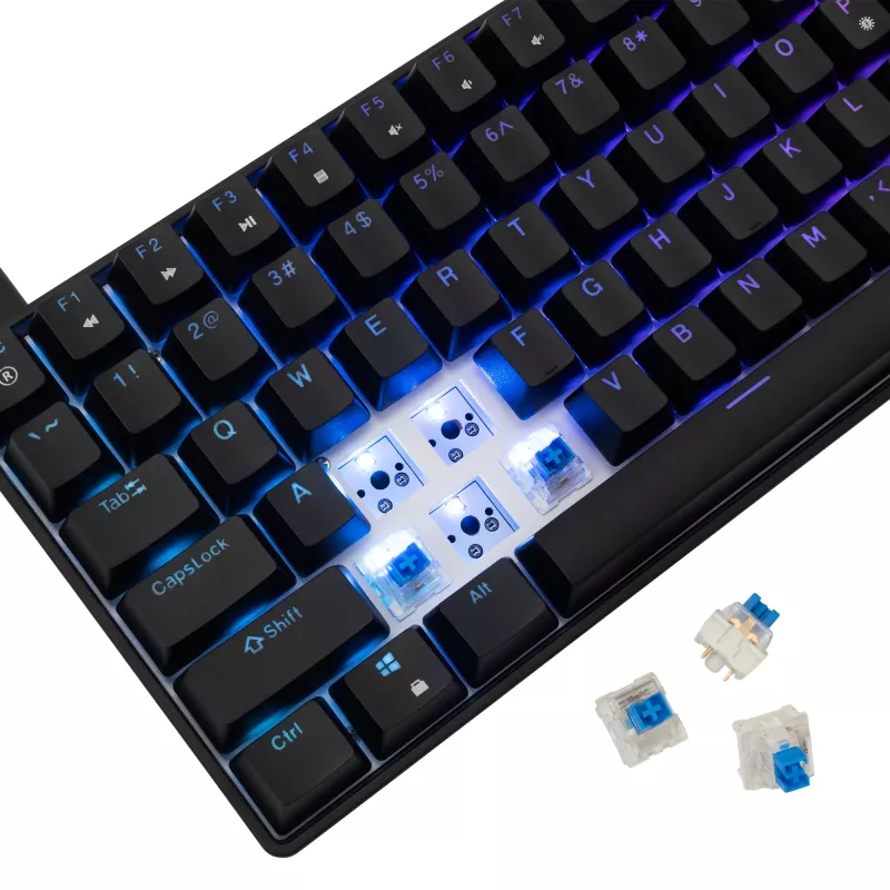 Mechanical keyboard White Shark GK-005121 with RGB lighting and Blue switches