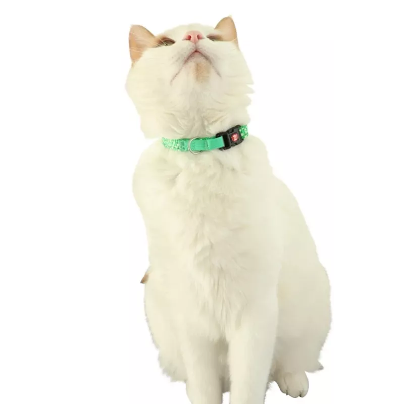Cat collar ZOLUX CHATOUILLE with bird-shaped charm, green