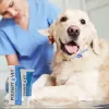 Wound gel JM Sante Polisept Vet 30 ml for dogs and cats, tube 30 ml, 50 g