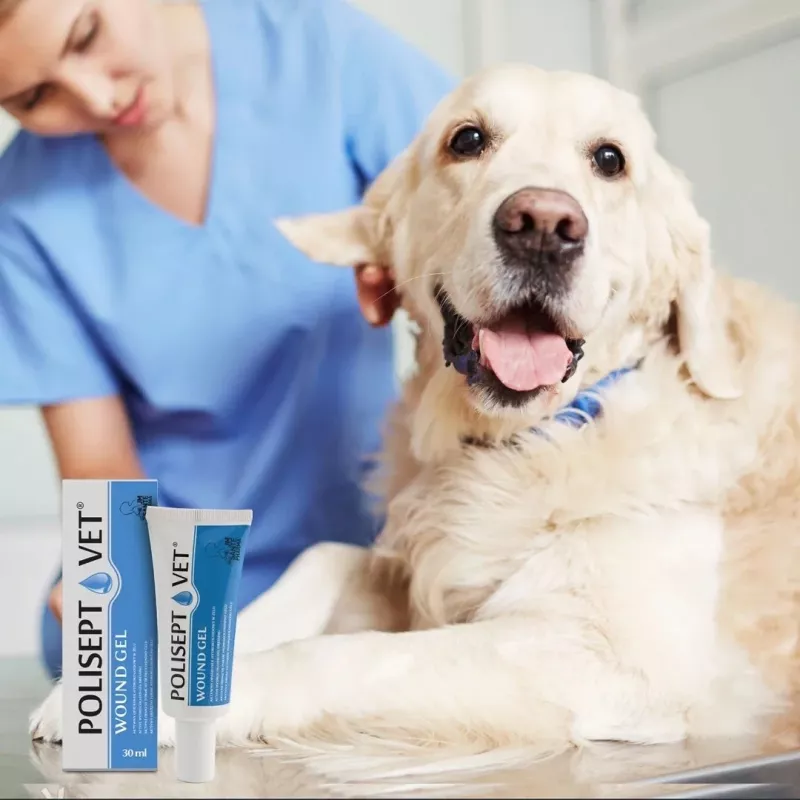 Wound gel JM Sante Polisept Vet 30 ml for dogs and cats, tube 30 ml, 50 g