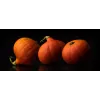 Uchiki Kuri Pumpkin Toraf Vegetable Seeds, 5g Pack