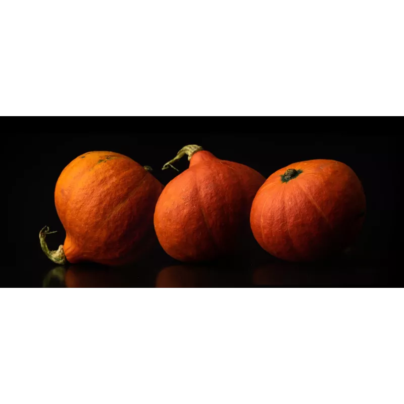 Uchiki Kuri Pumpkin Toraf Vegetable Seeds, 5g Pack