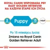 Royal Canin Golden Retriever Puppy Dry Dog Food 12 kg