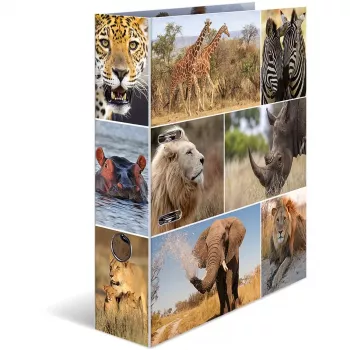 Ring binder A4 HERMA 7168 Multicolour