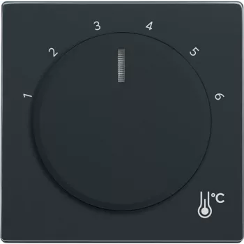 Busch-Jaeger 1794 R-81 Cover Plate for Sensor Holder & -Socket Anthracite (2CKA001710A4198)