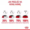 Wet cat food Royal Canin Kitten Gravy 85 g — poultry, 78% moisture, 12% protein